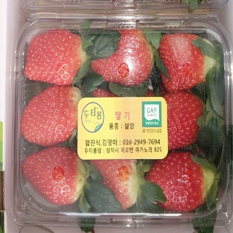 강원더몰,두타롱 딸기 500g/ 1kg(스티로폼박스)(GAP인증, 국산) (삼척딸기, 산지직송)
